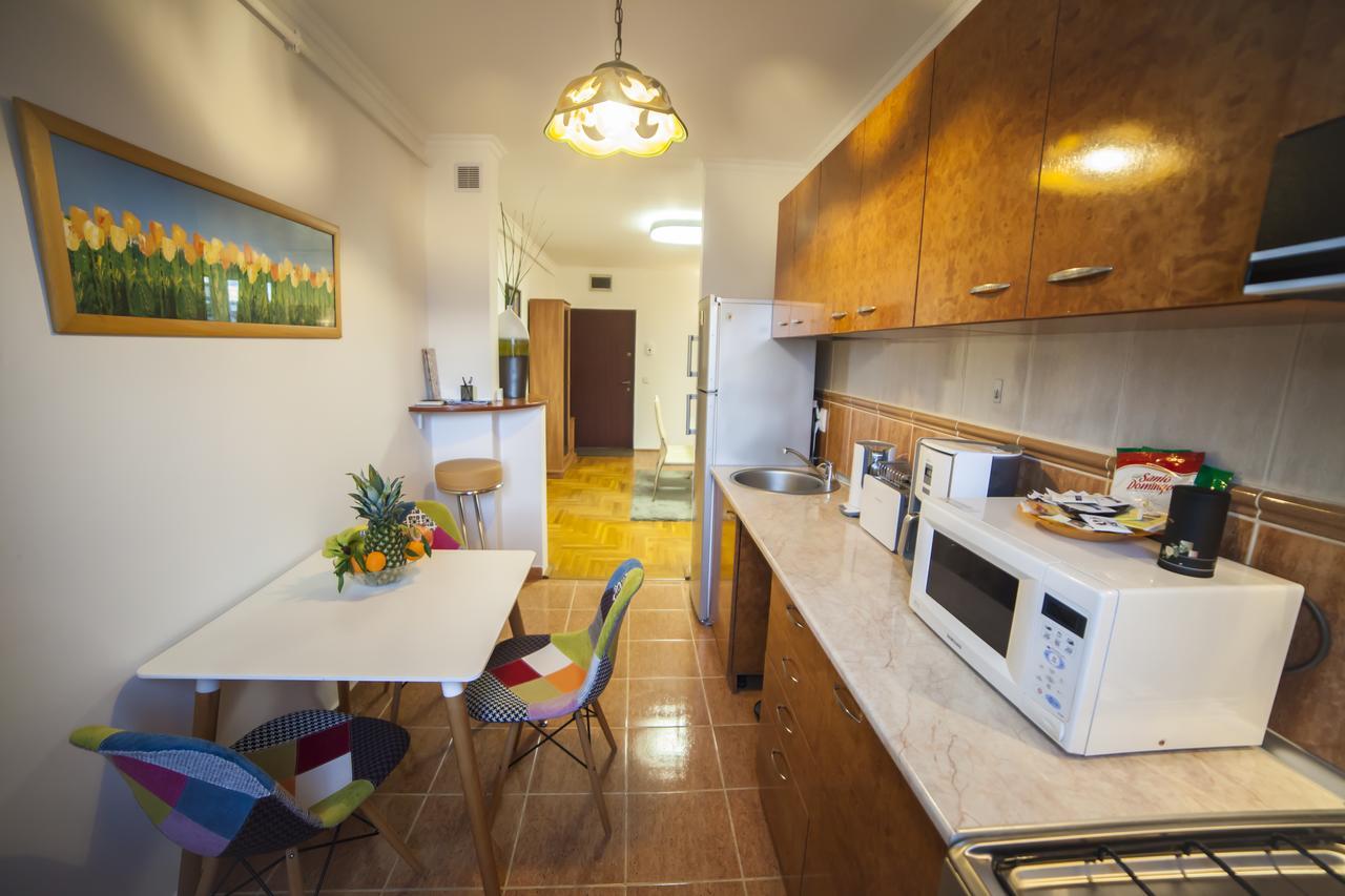 Business Class Apartment Κλουζ-Ναπόκα Εξωτερικό φωτογραφία