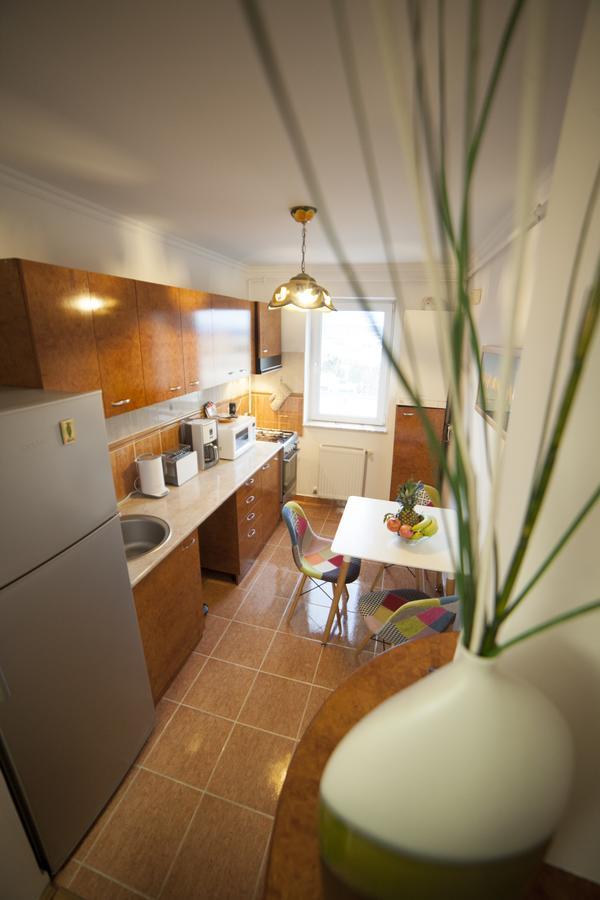 Business Class Apartment Κλουζ-Ναπόκα Εξωτερικό φωτογραφία